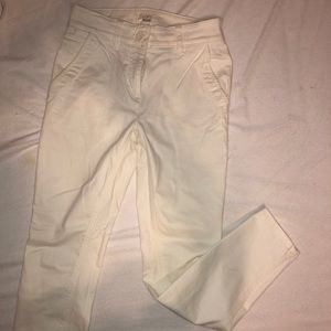 The Loft Petite Pants